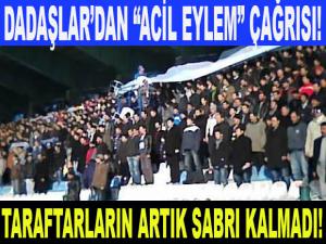 DADAŞLAR GRUBUNDAN ACİL EYLEM ÇAĞRISI!