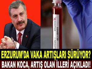 ERZURUM'DA VAKA ARTIŞI SÜRÜYOR?