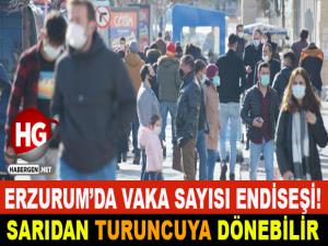 ERZURUM'DA VAKA SAYISI ARTIŞI!