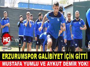 ERZURUMSPOR GALİBİYETE GİTTİ