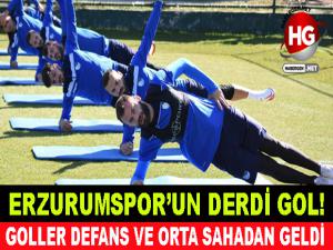 ERZURUMSPOR'UN DERDİ GOL!