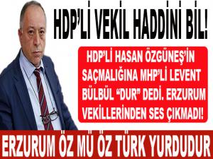 HDP'Lİ VEKİL HADDİNİ BİL!