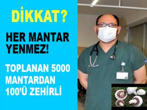 HER MANTARI YEMEYİN!