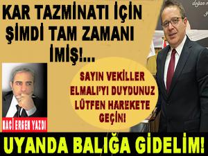 LAFLA PEYNİR GEMİSİ YÜRÜMÜYOR SAYIN ELMALI!