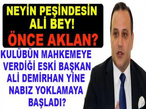 NEYİN PEŞİNDESİN ALİ BEY! ÖNCE AKLAN?