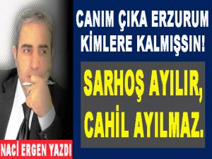 SARHOŞ AYILIR, CAHİL AYILMAZ.