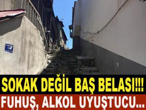 SOKAK DEĞİL BAŞ BELASI!!!