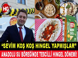 TESCİLLİ HINGEL DÖNEMİ!