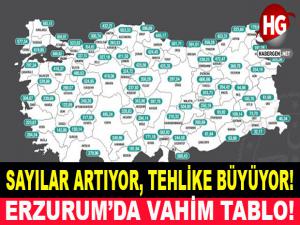 VAKA SAYILARINDA ERZURUM'DA VAHİM TABLO!