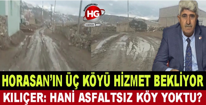 HORASAN'IN ÜÇ KÖYÜ HİZMET BEKLİYOR