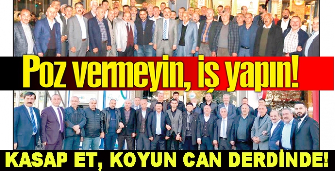 KASAP ET, KOYUN CAN DERDİNDE!