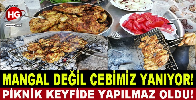 MANGAL DEĞİL CEBİMİZ YANIYOR!